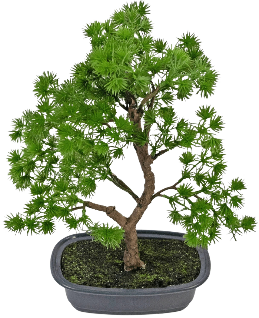 La pianta artificiale bonsai ginepro da 30 cm ha foglie dense di colore verde brillante e un tronco contorto, in un vaso grigio poco profondo con terreno scuro, su uno sfondo bianco semplice.
