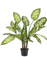 De Kunstplant Dieffenbachia 40 cm, met weelderige groene bladeren en licht geelwitte spikkels, staat elegant in stijlvolle sierpotten tegen een effen witte achtergrond.