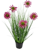 De Kunst Grasplant Chrysant 60 cm brandvertragend heeft lange, dunne groene grasachtige bladeren en zes roze chrysantenbloemen met een geel hart in een zwarte pot, tegen een effen witte achtergrond.