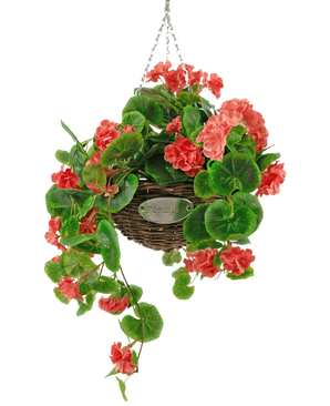 Il cesto di begonia rosa artificiale UV 70 cm è un cesto di vimini sospeso con foglie verdi lussureggianti e vivaci fiori di begonia rosa corallo, sospesi da una catena d'argento su uno sfondo bianco.