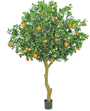 De Kunstboom Sinaasappel 275 cm is een kunstmatige sinaasappelboom in pot met een slanke stam, dicht groen gebladerte en veel rijpe oranje vruchten, tegen een effen witte achtergrond.