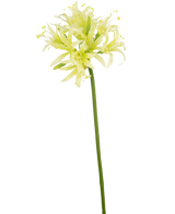 Il fiore artificiale Nerine verde da 70 cm ha un lungo stelo verde con delicati fiori gialli chiari e bianchi simili a gigli, perfetti come elegante accento floreale di seta in un vaso decorativo su un semplice sfondo bianco.