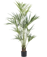 De Kunstplant Kentia Palm 190 cm brandvertragend is een hoge, weelderige kunstpalm met lange groene bladeren en meerdere dunne stelen in een zwarte pot, tegen een effen witte achtergrond.