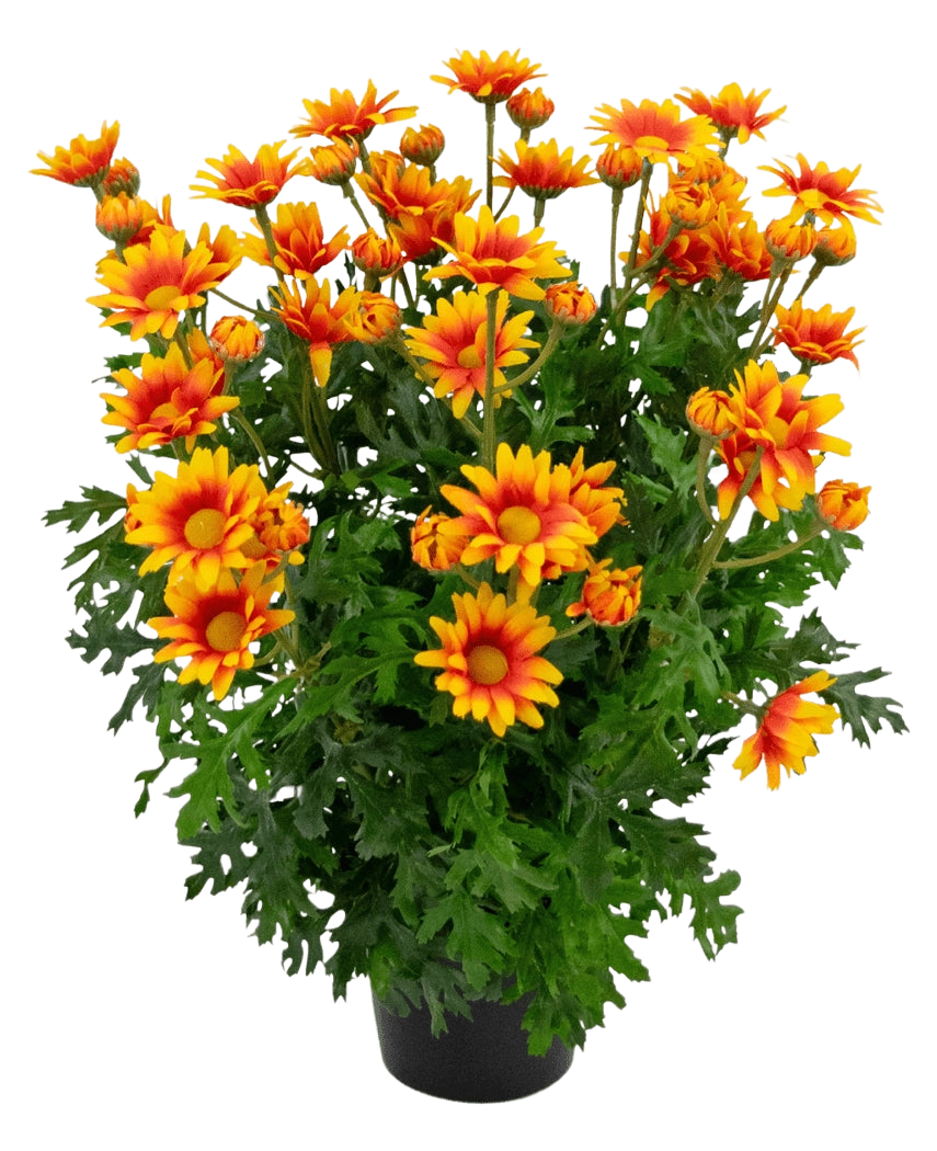 La pianta artificiale Daisy UV 31 cm presenta vivaci fiori arancioni e gialli simili a margherite con foglie verdi rigogliose e profondamente lobate, il tutto in una disposizione in vaso isolato su uno sfondo bianco.