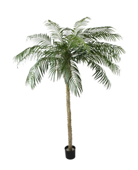 Palma finta Phoenix De Luxe 250 cm