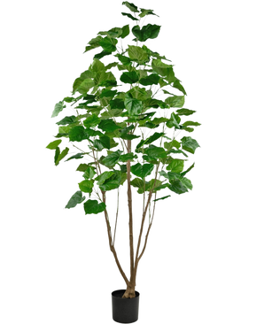 La pianta artificiale Ficus 210 cm è una pianta d'appartamento alta in vaso con diversi steli marroni sottili e grandi foglie verdi lussureggianti, su uno sfondo bianco semplice.