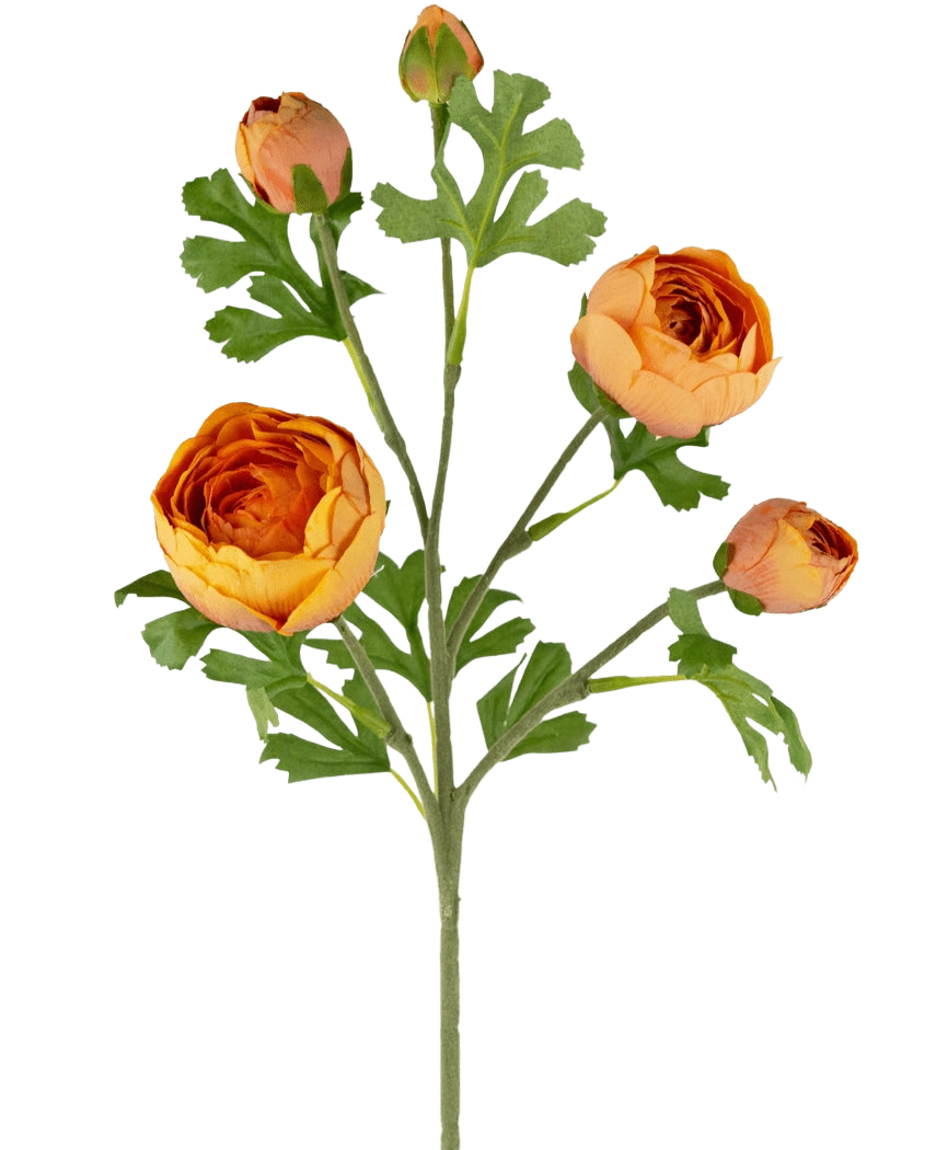 Il ramo di ranuncolo artificiale x5 Real Touch Orange da 62 cm presenta cinque vivaci ranuncoli arancioni in varie fasi, completati da foglie verdi lussureggianti e profondamente lobate su un unico stelo, su uno sfondo bianco.