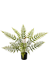 De Kunstplant Varen 68 cm heeft lange, vederlichte groene varenbladeren en wordt geleverd in een compacte zwarte pot, hier afgebeeld tegen een effen witte achtergrond.