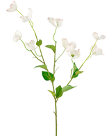 Il corniolo artificiale Real Touch White da 74 cm ha un unico stelo alto con rami multipli di delicati fiori bianchi e foglie verdi, su uno sfondo chiaro e semplice.