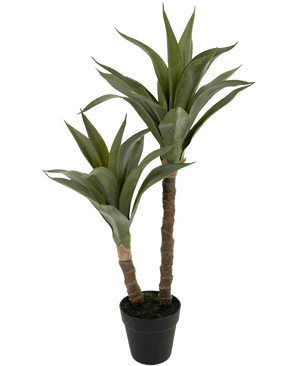 De Kunstplant Agave 76 cm is een kunstplant in pot met twee dikke bruine stengels en trossen lange, puntige groene bladeren in een zwarte pot, tegen een witte achtergrond.