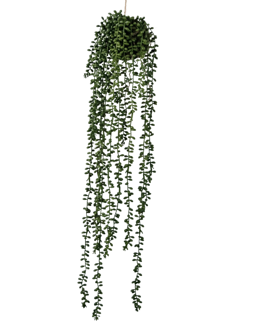 La pianta artificiale pensile Senecio ball 71 cm ha lunghi viticci verdi sinuosi che emergono da un grappolo rotondo nella parte superiore, perfetti per aggiungere verde su un semplice sfondo bianco.