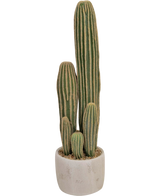 De Kunst Cactus 59 cm heeft drie lange, groene, geribbelde stengels van verschillende hoogte in een kleine ronde witte plantenbak, afgebeeld tegen een effen achtergrond.