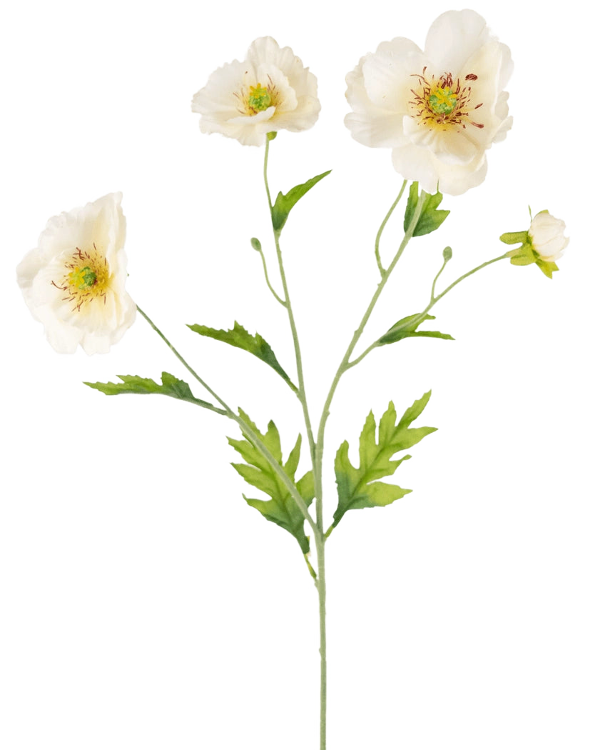 Un'illustrazione botanica dell'Art Poppy Real Touch Cream/giallo da 65 cm mostra uno stelo verde con delicati fiori di papavero giallo e crema e rigogliose foglie verdi su uno sfondo chiaro.