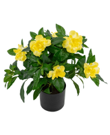 La pianta artificiale Gardenia UV 39 cm è una pianta artificiale verde rigogliosa con grandi fiori gialli vivaci e foglie lucide in un vaso nero, su uno sfondo bianco semplice.