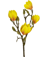 Een Kunstbloem Magnolia 50 cm geel/oranje tak toont een aantal levendige geeloranje bloemen en een paar groenachtige donzige knoppen, tegen een witte achtergrond.