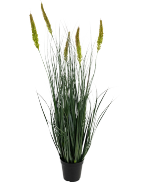 Il vaso per erba artificiale tifa cipolla da 90 cm ignifugo è una pianta in erba artificiale in vaso con foglie verdi lunghe e sottili e molteplici teste di semi alte, giallo-verdi su un semplice sfondo bianco.