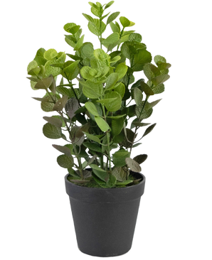 De Kunstplant Vicks 33 cm is een kleine, groene kunstplant met ronde bladeren in een matzwarte pot, tegen een effen witte achtergrond.