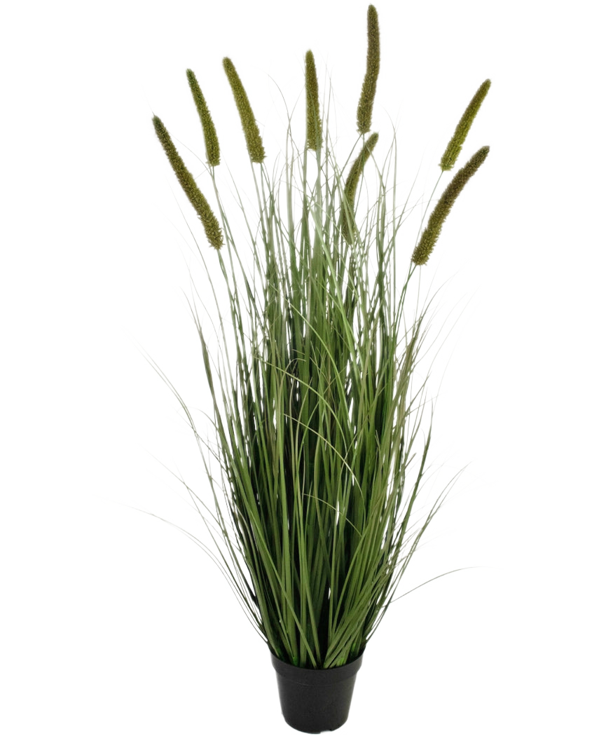 L'erba artificiale tifa cipolla vaso da 120 cm ignifuga è un'erba ornamentale in vaso con lame verdi lunghe e sottili e teste di semi multiple alte e verticali, su uno sfondo bianco semplice.