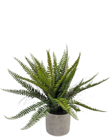La felce artificiale di Boston da 48 cm in vaso decorativo è una pianta di felce verde realistica presentata in un vaso decorativo di cemento, su uno sfondo bianco.