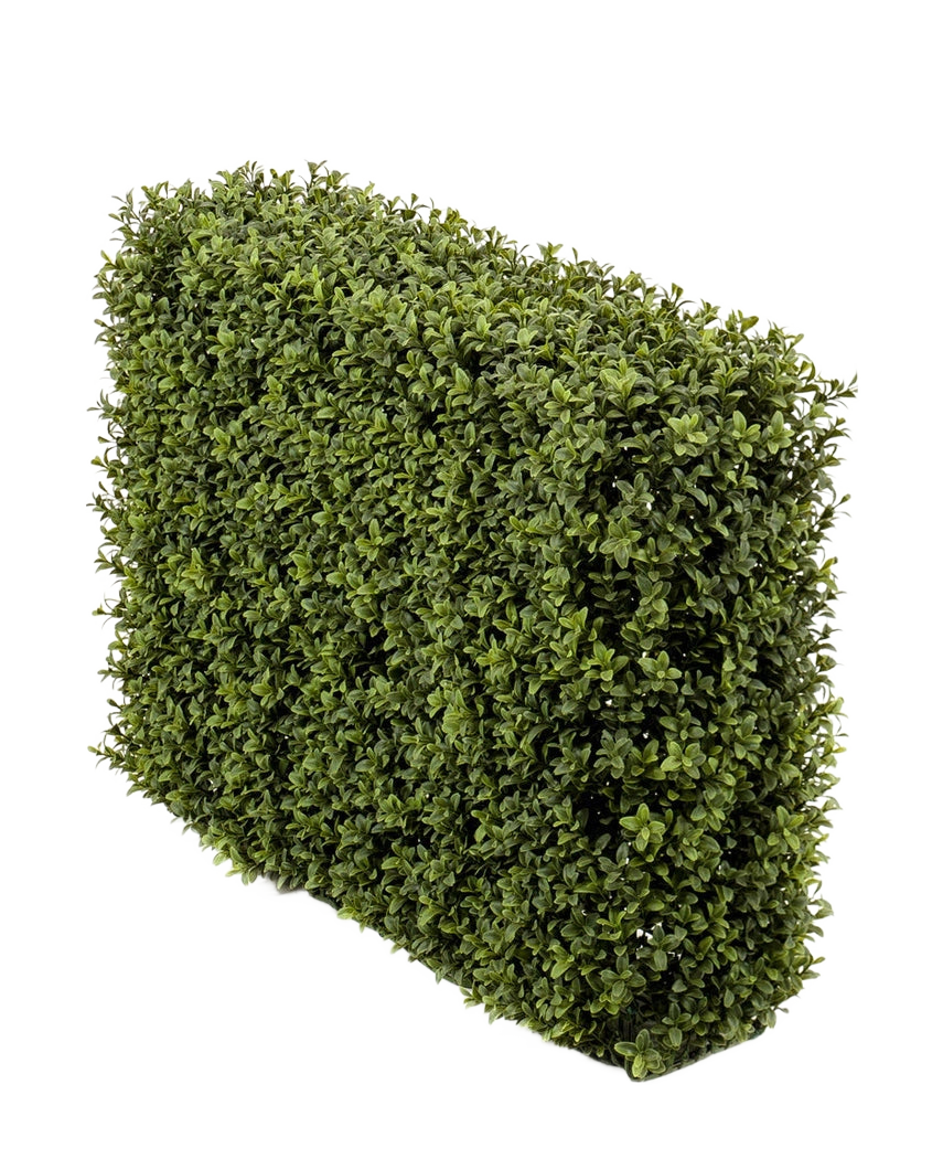La siepe di bosso artificiale UV 70x20x50 cm, una fitta siepe rettangolare verde con foglie piccole, è presentata in un vaso di plastica con protezione UV su uno sfondo bianco a tinta unita.
