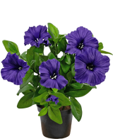Een Kunstbloem Petunia plant UV 25 cm in paars met weelderige groene bladeren, uitgestald in een pot tegen een effen witte achtergrond.