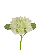 De Kunstbloem Hortensia 34 cm wit heeft zachte, ronde witte bloemblaadjes en twee grote groene bladeren op een lange steel. Ideaal als decoratieve bloem voor elk modern interieur, tegen een witte achtergrond.