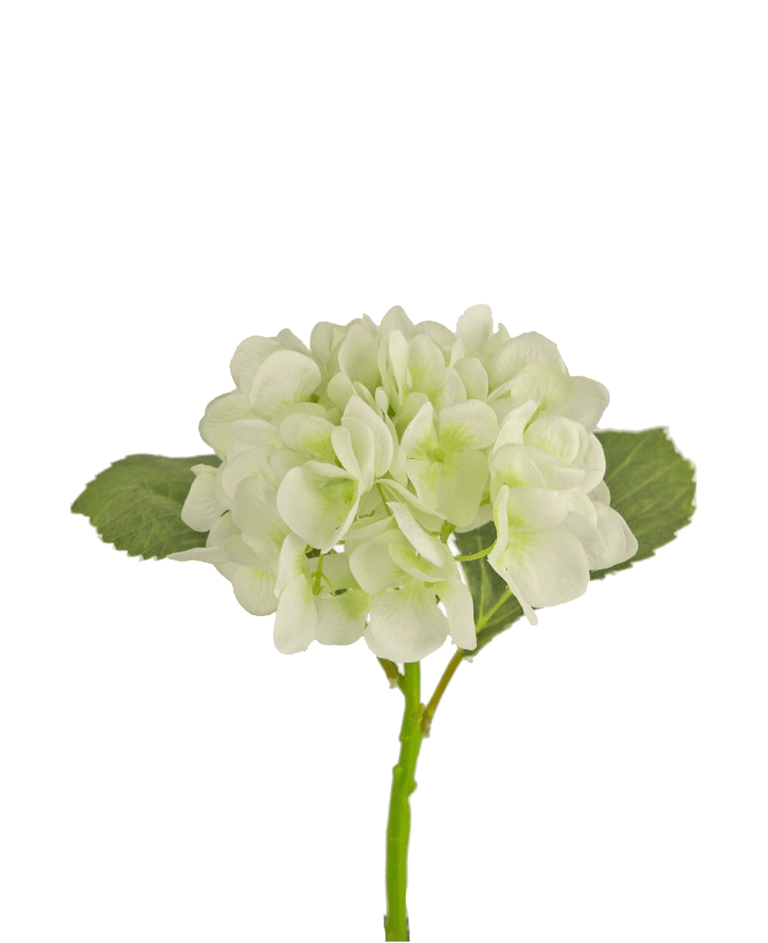 Il fiore artificiale dell'ortensia bianca da 34 cm ha morbidi petali bianchi rotondi e due grandi foglie verdi su un lungo stelo. Ideale come fiore decorativo per qualsiasi interno moderno, su uno sfondo bianco.