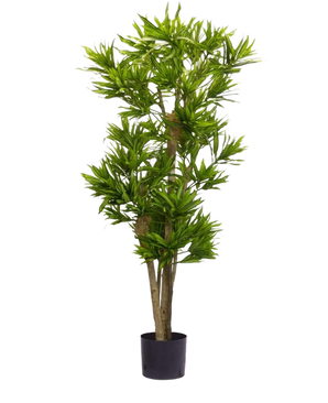 De Kunstplant Dracena Reflexa 150 cm heeft meerdere houtachtige stengels en trossen smalle, puntige groene bladeren in een zwarte pot, afgebeeld tegen een witte achtergrond.