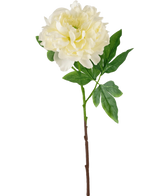 De Kunstbloem Pioen 61 cm wit is een kunstmatige witte pioenroos met gelaagde bloemblaadjes en groene blaadjes op een lange bruine steel, afgebeeld tegen een effen witte achtergrond.