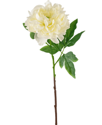 Fiore artificiale Peonia 61 cm bianco
