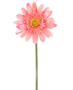 Una gerbera artificiale rosa di 55 cm ha un'unica gerbera rosa con un cuore giallo-verde su un lungo stelo verde, su uno sfondo bianco semplice.