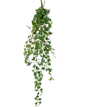 La pianta pensile artificiale Ivy deluxe 120 cm verde ha lunghi viticci verdi con foglie a forma di cuore, perfetti per aggiungere un tocco di bellezza naturale su un semplice sfondo bianco.