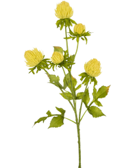 Fiore artificiale Cardo 66 cm crema