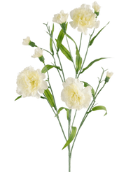 Fiore artificiale Garofano a grappolo 70 cm bianco