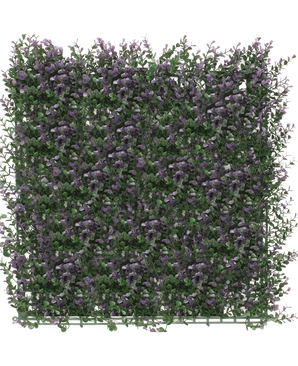 La siepe artificiale bosso viola 50x50 cm UV è un denso pannello quadrato di verde artificiale con piccoli fiori viola, che crea un rigoglioso tappeto da giardino verticale, perfetto per ravvivare uno sfondo bianco.