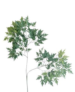 De Kunstblad Ming Aralia 50 cm groen brandvertragend is een hoge, slanke kunstplant met dunne stengels en trossen groene bladeren met gekartelde randen tegen een effen witte achtergrond.