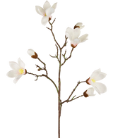 De Kunstmagnoliatak Real Touch Wit 98cm heeft een enkele bruine steel met meerdere takken, elk met witte magnoliabloemen en knoppen met een gele kern, prachtig weergegeven tegen een effen witte achtergrond.