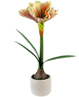 Il fiore artificiale Amaryllis Real Touch Rosso/Giallo 48 cm ha foglie verdi realistiche e uno stelo alto con fiori rossi e gialli a forma di tromba, splendidamente presentati su uno sfondo bianco.