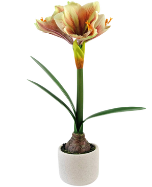 Il fiore artificiale Amaryllis Real Touch Rosso/Giallo 48 cm ha foglie verdi realistiche e uno stelo alto con fiori rossi e gialli a forma di tromba, splendidamente presentati su uno sfondo bianco.