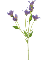 Het Kunstbloem Grasklokje 62 cm paars heeft een enkele groene steel met meerdere takken, elk versierd met delicate paarse bloemen en groene bladeren, tegen een effen witte achtergrond.