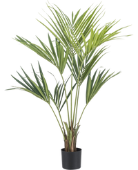 Palma finta Kentia 135 cm