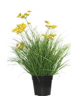 La pianta di erba artificiale Asteraceae ignifuga da 50 cm ha foglie verdi lunghe e sottili e piccoli fiori gialli in un vaso nero, che fornisce un aspetto verde: l'erba artificiale perfetta in casa su un semplice sfondo bianco.