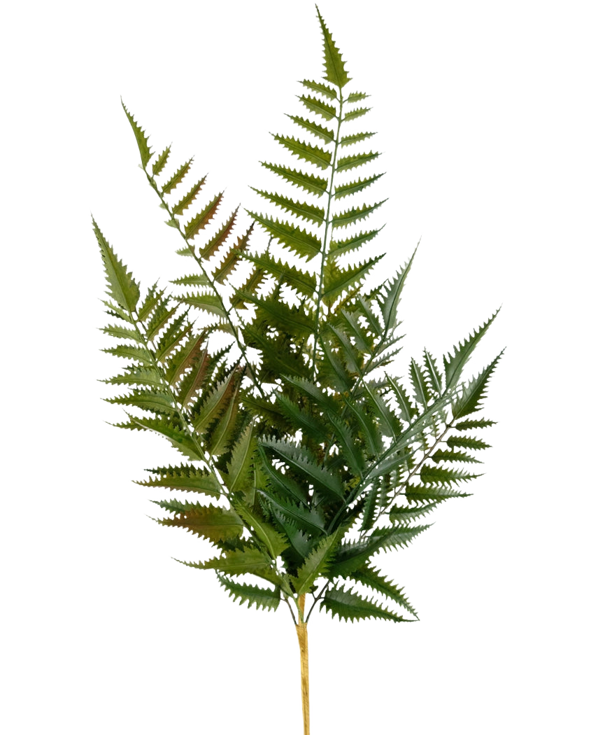La Felce Punto Artificiale 56 cm ha un unico stelo con molteplici fronde di felce verde e foglioline appuntite finemente divise, isolate su sfondo bianco.