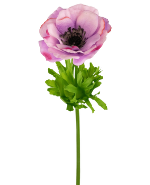 De Kunstanemoon Real Touch paars 52cm heeft een enkele paarse anemoonbloem met fijne bloemblaadjes, een donker hart en heldergroene bladeren en steel, geïsoleerd op een witte achtergrond.