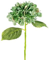 Ortensie finte Deluxe 33 cm verde scuro