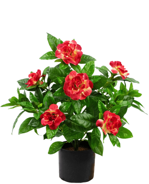 Pianta artificiale Gardenia 39 cm fucsia