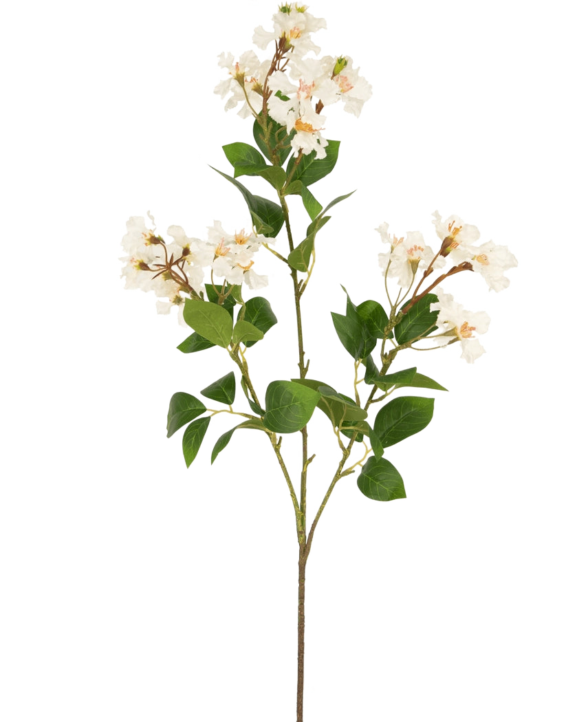 Il fiore artificiale Lagerstroemia bianco da 92 cm ha uno stelo alto con grappoli di piccoli fiori bianchi e foglie verdi, perfetto per aggiungere bellezza duratura a qualsiasi spazio. Ideale come pianta artificiale sorprendente su un semplice sfondo bianco.