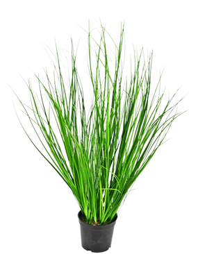L'erba artificiale cipolla ignifuga da 58 cm è un'erba alta decorativa con sottili fili verdi in un vaso di plastica nera, raffigurata su un semplice sfondo bianco.