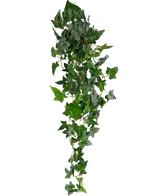 De Kunst hangplant Klimop Boston 100 cm groen heeft weelderige groene puntige bladeren op lange, dunne stelen, waardoor een realistisch trailing klimop effect ontstaat tegen een effen witte achtergrond.