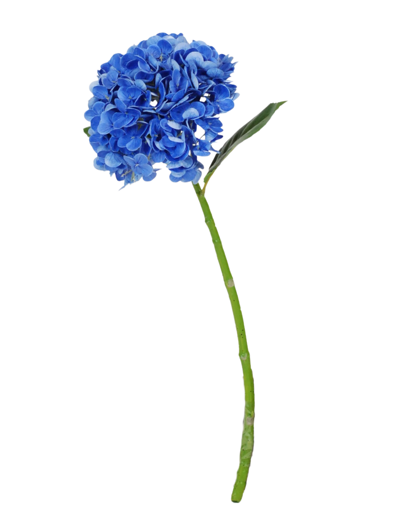 Il Fiore Artificiale Charlotte Hydrangea Real Touch blu scuro è una singola ortensia artificiale di colore blu con stelo e foglie verdi, alta 55 cm, isolata su sfondo bianco.